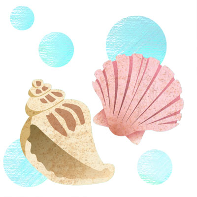 おしゃれなイラストが無料/イラストカップillustcup : 貝殻