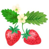 お花付きのおしゃれな苺の無料イラストです