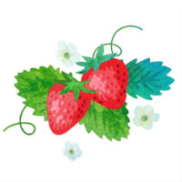 お花付きのおしゃれな苺のフリーイラストです