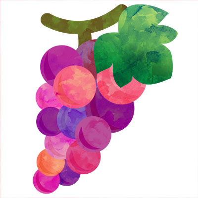 ジューシーな紫色のブドウの無料イラストです。