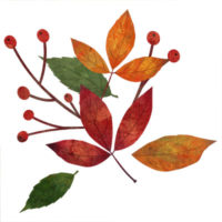 カラフルな紅葉のおしゃれな無料イラストです。