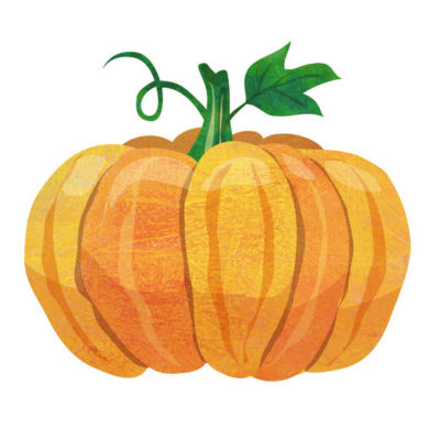無料で使える西洋かぼちゃのイラスト